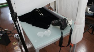 SONY DSC